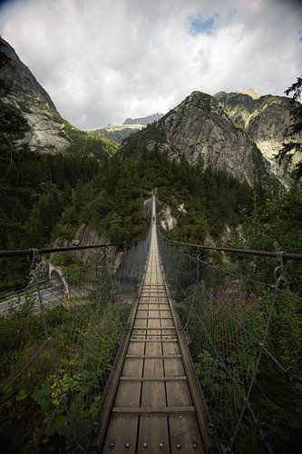 The boy on the suspension bridge in the Swiss forest