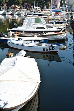 Bateaux de pêche dans le port de Novigrad sur la côte de la mer Adriatique en Croatie. sur Heiko Kueverling