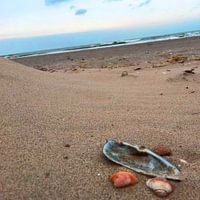 Haags strand