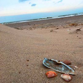 Haags strand by Margriet Snaterse
