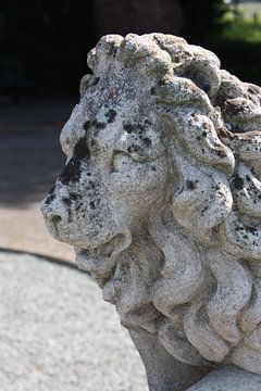 Lion joyeux sur Marianne van den Bogaerdt
