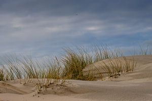 Dunes sur Sebastian Stef