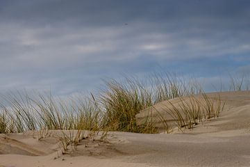 Dunes sur Sebastian Stef