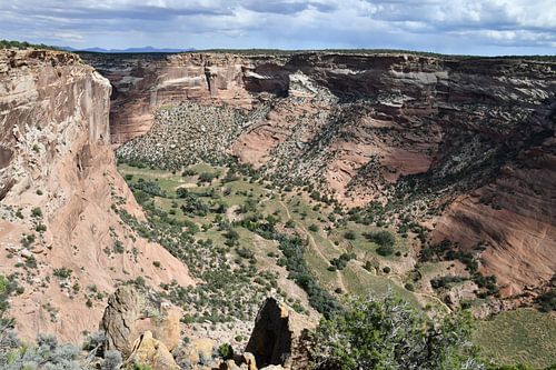 Au bord du Canyon de Chelly