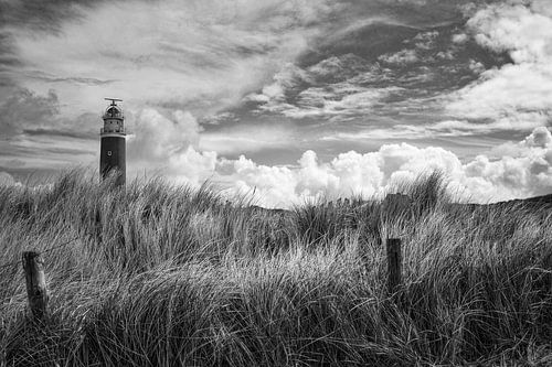 Vuurtoren in het gras