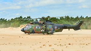 Cougar-Hubschrauber in Sandverwehung