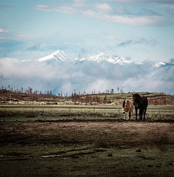 Die Atmosphäre des alten Westens von Colorado von Tim Breeschooten