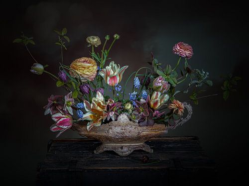 le silence en fleurs