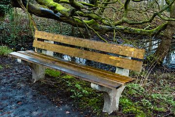 An empty park bench on a rainy day by Jan Van Bizar