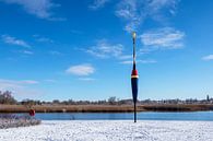 Giant pose on the Warnow in Rostock in winter by Rico Ködder thumbnail
