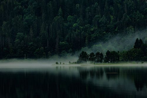 Misty lake in Norway