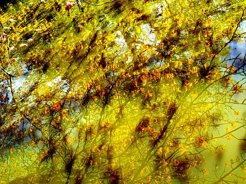 Urban Reflections 70