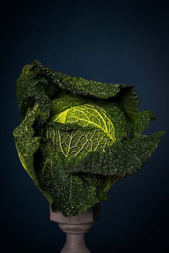 Stilleben mit Grünkohl