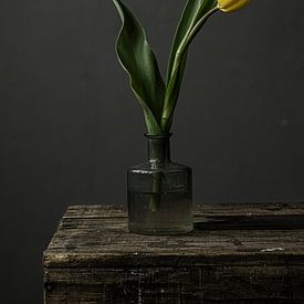 Foto print | gele tulp in vaasje | botanisch | modern van Jenneke Boeijink