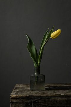 Foto print | gele tulp in vaasje | botanisch | modern van Jenneke Boeijink