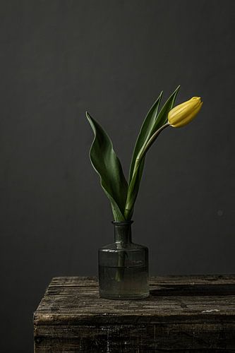Bild von gelber Tulpe in Vase von Jenneke Boeijink