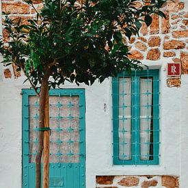 turquoise deur en raam blauw| lief klein huis in Ibiza | kleurrijke reisfotografie van Lisanne Koopmans