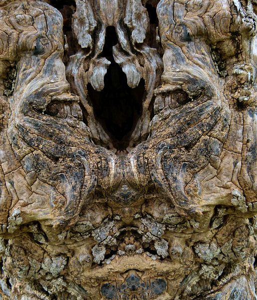 open face by Ryszard Tychawski