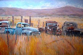 Autowrakken landschap van Frans Mandigers