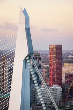 Erasmus Bridge and Red Apple from The Rotterdam