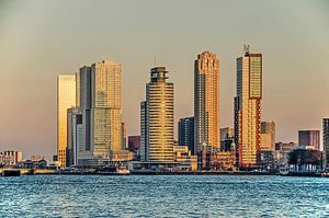 Rotterdamer Wilhelminapier in der goldenen Stunde