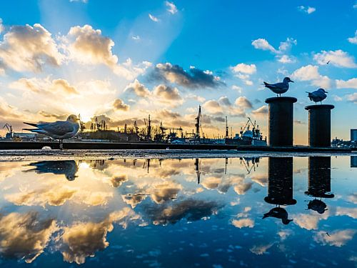 2015-12-09 Landende bruggen 2