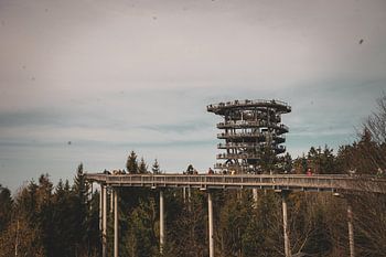 "Bewaker van het bos"