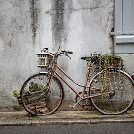 stilleven franse fiets van anne droogsma