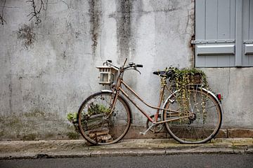 stillleben französisches fahrrad