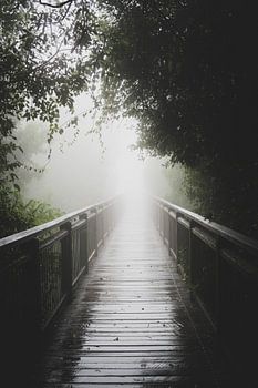 Weg durch den Nebel