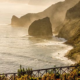 De noordkust van Madeira van Thomas Herzog
