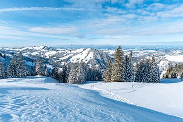 Zon, winter, sneeuw op de Hochgrat met uitzicht op Oberstaufen van Leo Schindzielorz