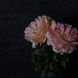 Roze pioenrozen van Anne Marie Hoogendijk