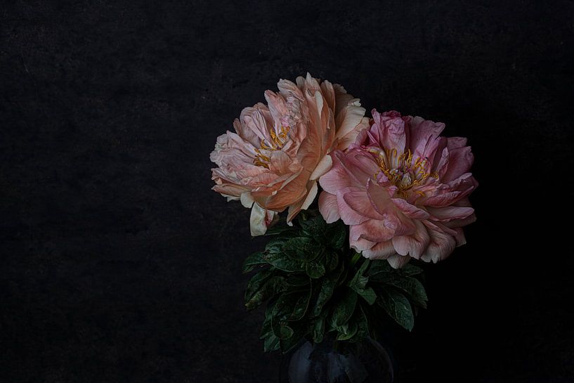 Roze pioenrozen van Anne Marie Hoogendijk