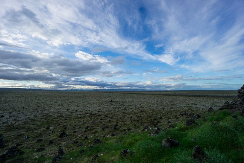 Islande - Des buissons d'herbe devant les vastes plaines et les montagnes lointaines par adventure-photos