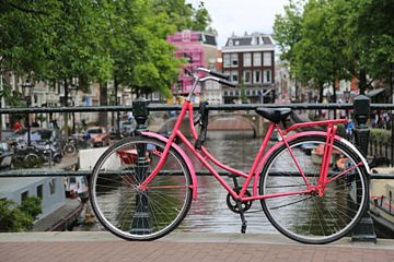 bicycle on the bridge van Leana De Wet