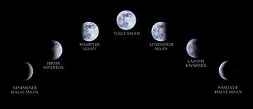 The Moon, the phases of the moon collected. by Gert Hilbink