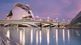 Planet Valencia von Scott McQuaide