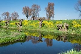 holländische Landschaft von Kok and Kok