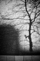 Shadow play on the walls in Ceramique, Maastricht