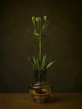 Stillife with green flower