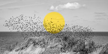 Vogelschwarm mit gelbem Kreis von Yanuschka Fotografie | Noordwijk