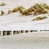 Strand van Ameland sur Sanneke Kortbeek