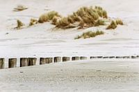 Strand van Ameland