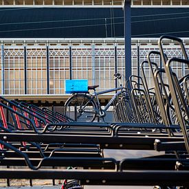Bicycles in bike shed by Sjoerd van der Hucht
