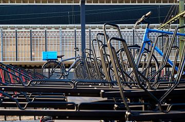 Bicycles in bike shed by Sjoerd van der Hucht