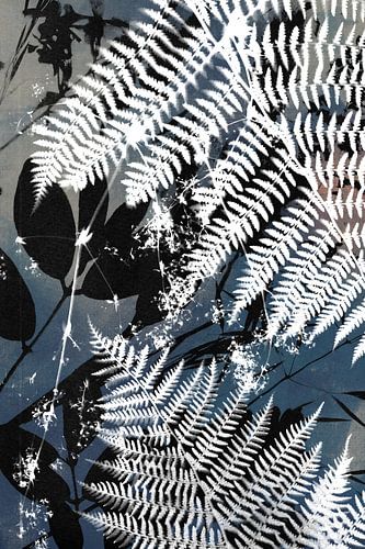 Botanisch cyanotype in Pruisisch blauw gecombineerd met zwart