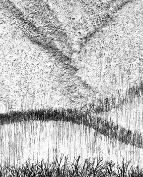 Retour d'entre les morts