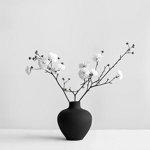 Schwarze Vase mit Blumen schwarz und weiß elegant