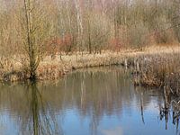 Herfst.